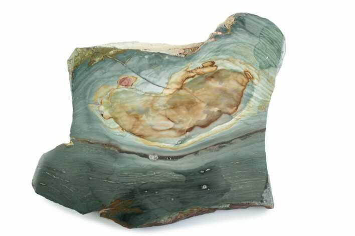Gary Green Jasper (Larsonite) Bog Wood Slab - Oregon #377780